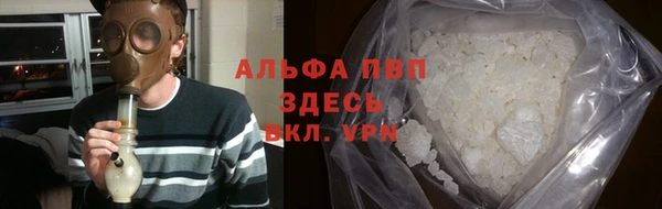 прущие грибы Ладушкин