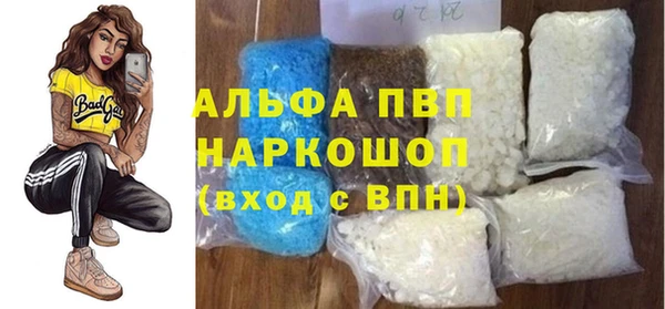прущие грибы Ладушкин