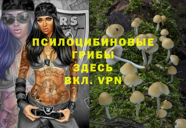 не бодяженный Абдулино