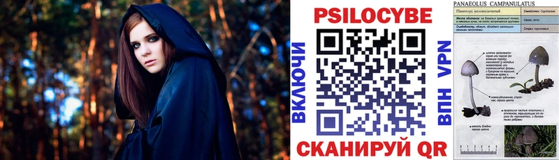 Галлюциногенные грибы Cubensis Райчихинск